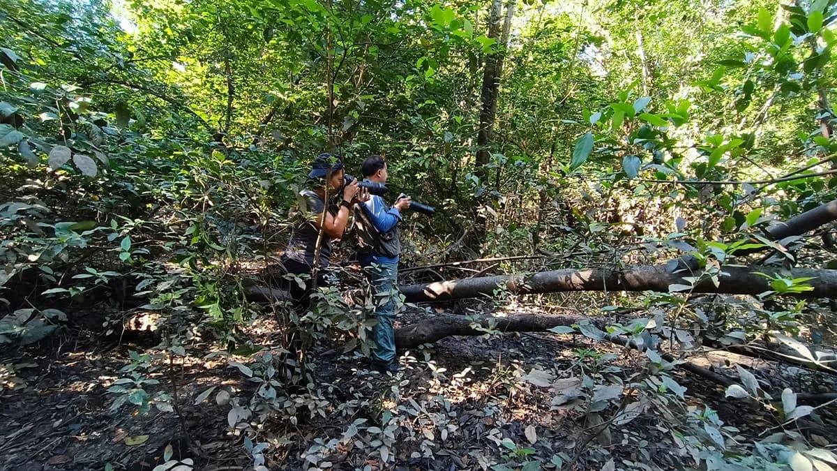 Dos integrantes de la red registran fauna con sus cámaras dentro del bosque
